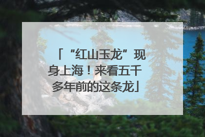 “红山玉龙”现身上海！来看五千多年前的这条龙